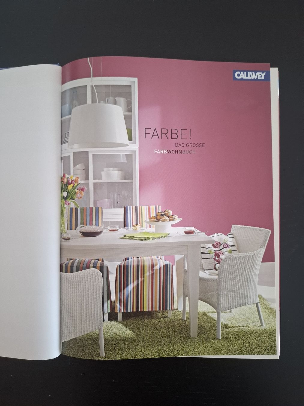 Libri: Farbe! Das grosse Farbwohnbuch • Ilex Neß • Callwey Verlag – Usato da Ottenbach venduto da Rasenmaeeher 1