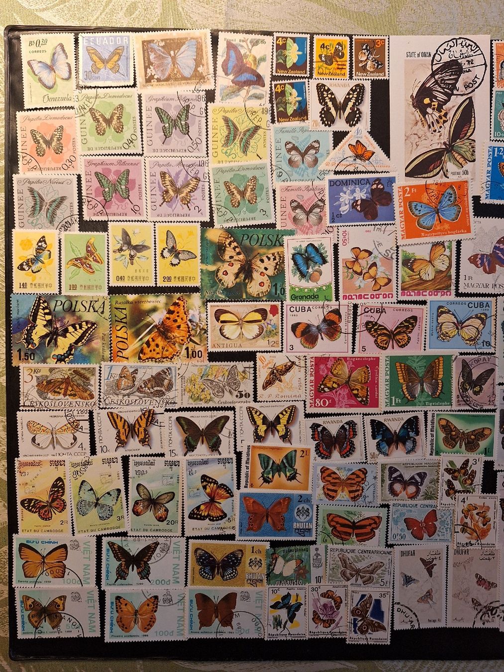 Tutti i francobolli: Schmetterlinge Briefmarken: schöne grosse Sammlung – Usato da Genolier venduto da Antoine30 3