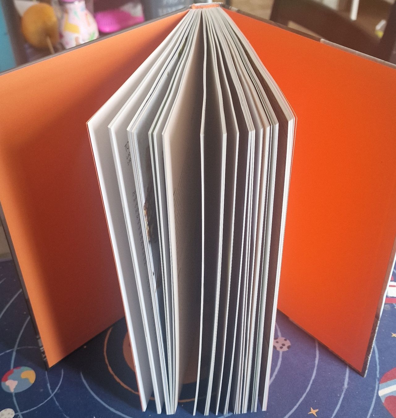 Libri: Gordon Ramsay Ultimative Kochschule - New/Neu – Nuovo (secondo la descrizione) da Muri AG venduto da yzh_v2k9 2