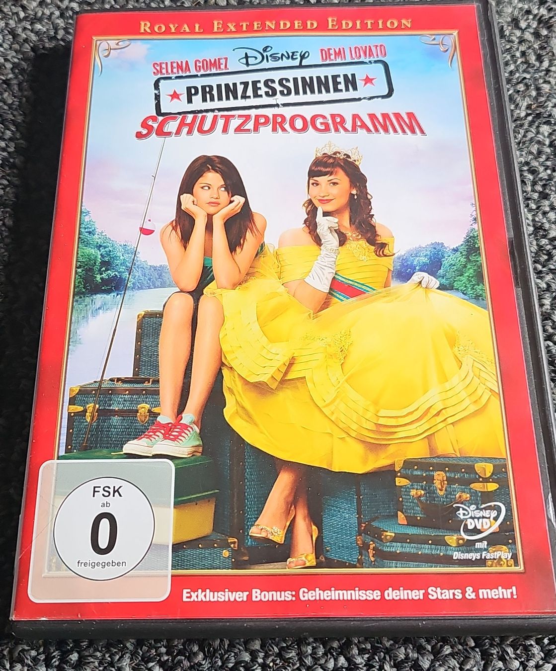 Tutti i DVDs: DVD Prinzessinnen Schutzprogramm (23073) – Usato da Ruswil venduto da jan_bxl5