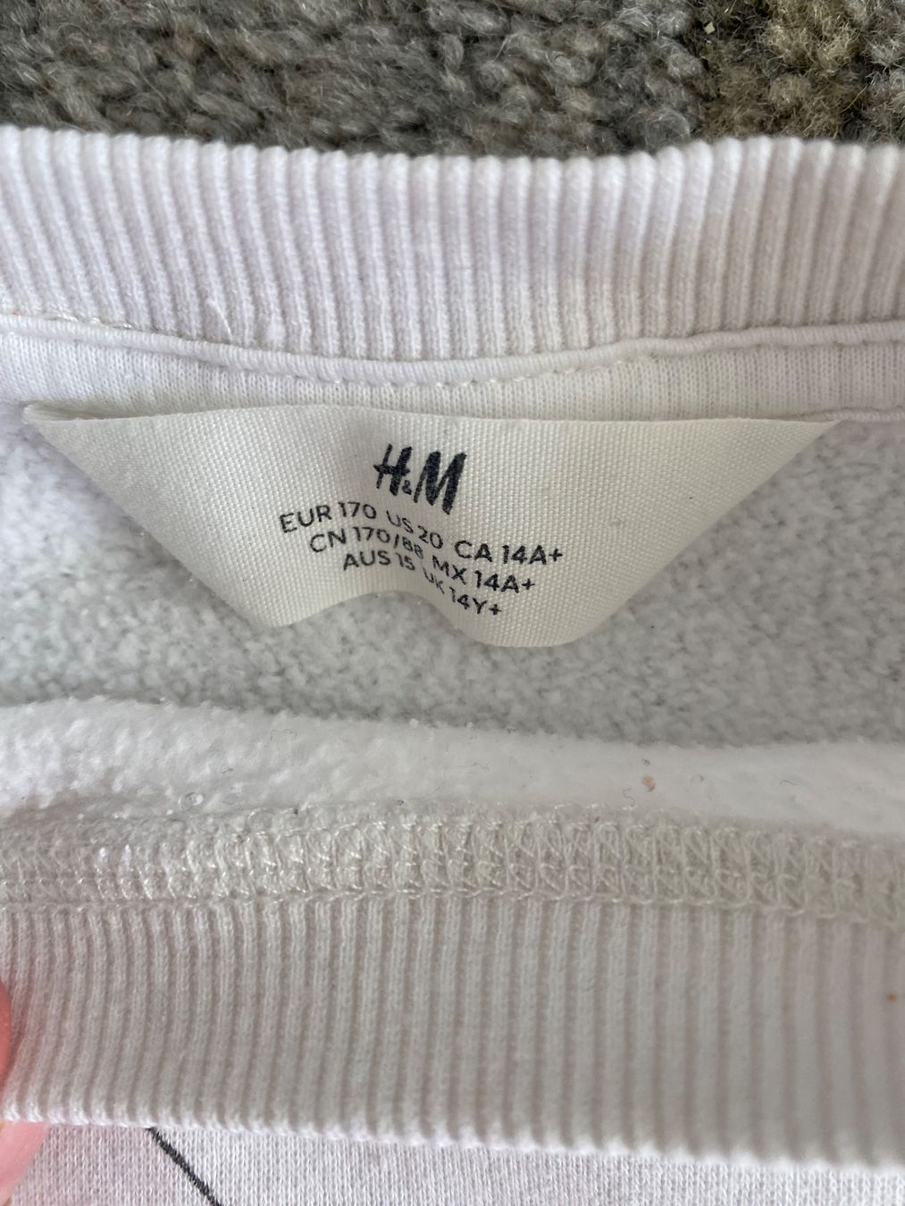 H&M Pullover & Sweatshirts: Pullover Butterfly von H&M, 170cm, BAUMWOLLE – Gebraucht aus Bassersdorf von jgo_9mfk 1