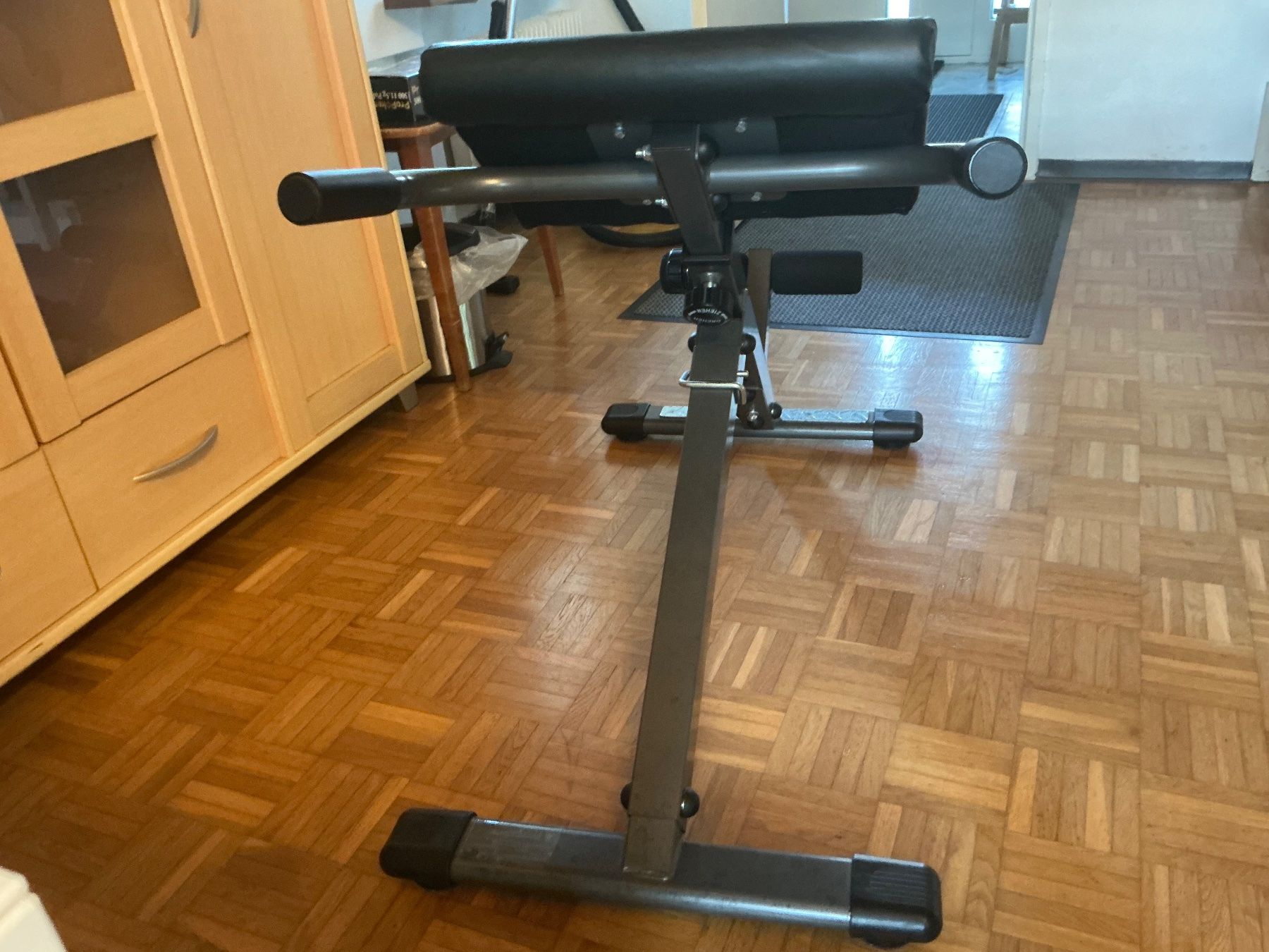 Hometrainer: Rückentrainer – Usato da Arni AG venduto da ami_22zx 2