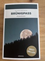 Kriminalroman Brünigpass von Silvia Götschi guter Zustand