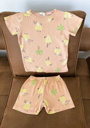 T-Shirt und Shorts, ZARA, Gr. 104, 3-4 jährig
