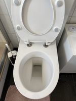 Laufen WC ohne Deckel und ohne Monolite