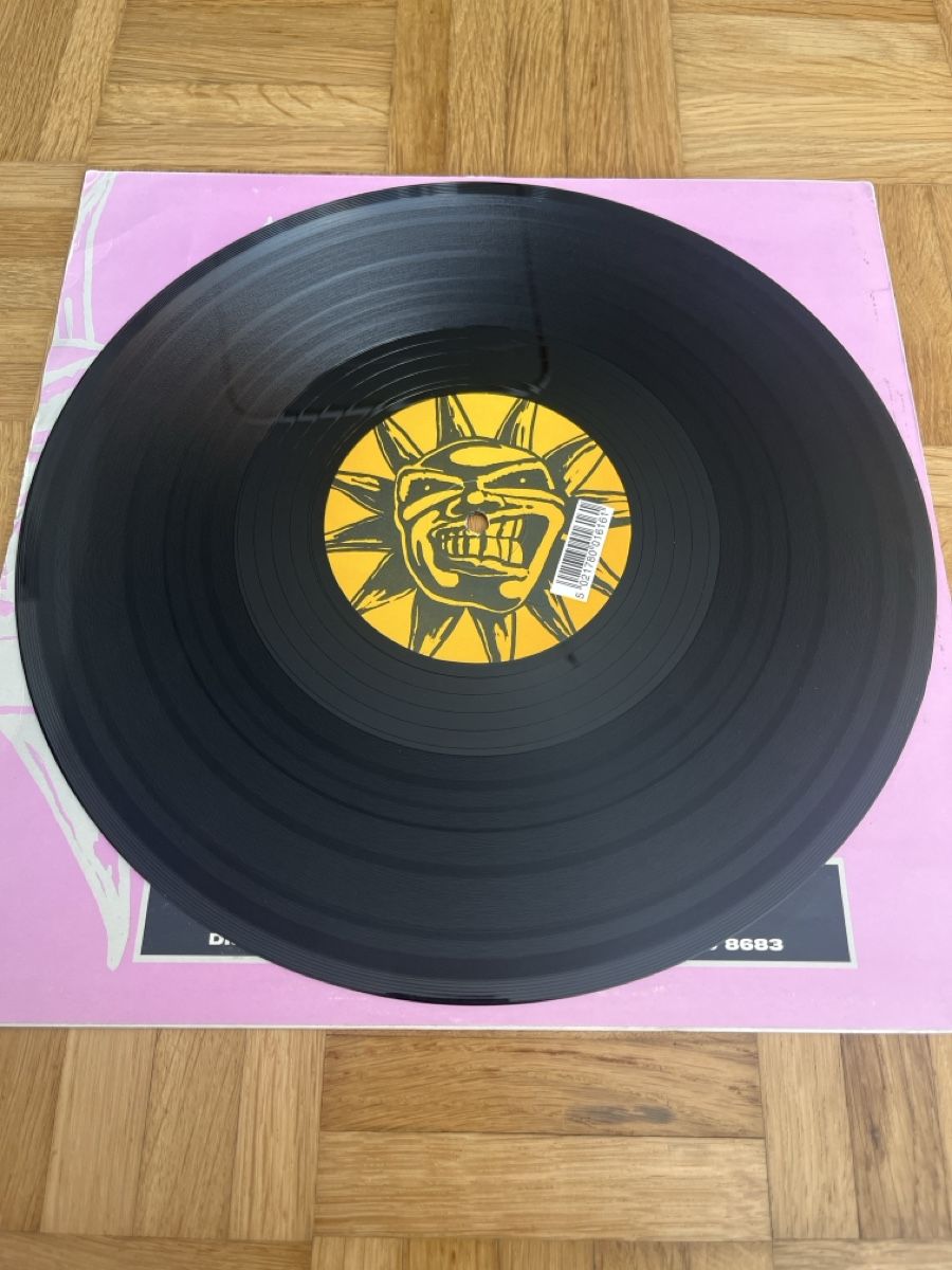 Dischi in vinile: The Maniac Hardcore / Gabber Vinyl – Usato da Wangen b. Olten venduto da break72 3