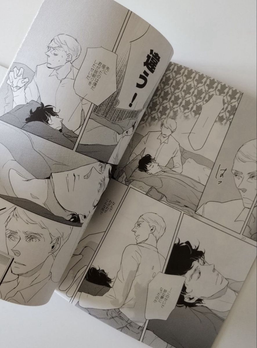 Fumetti: BBC Sherlock Doujinshi 2 Stück Japanisch – Usato da Uster venduto da xBeccax 2
