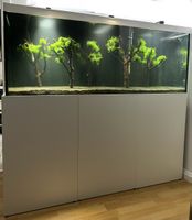 Aquarium 540 Liter inkl. Filter und Lampen und Unterschrank
