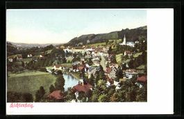 Lichtensteig, Ortsansicht aus der Vogels