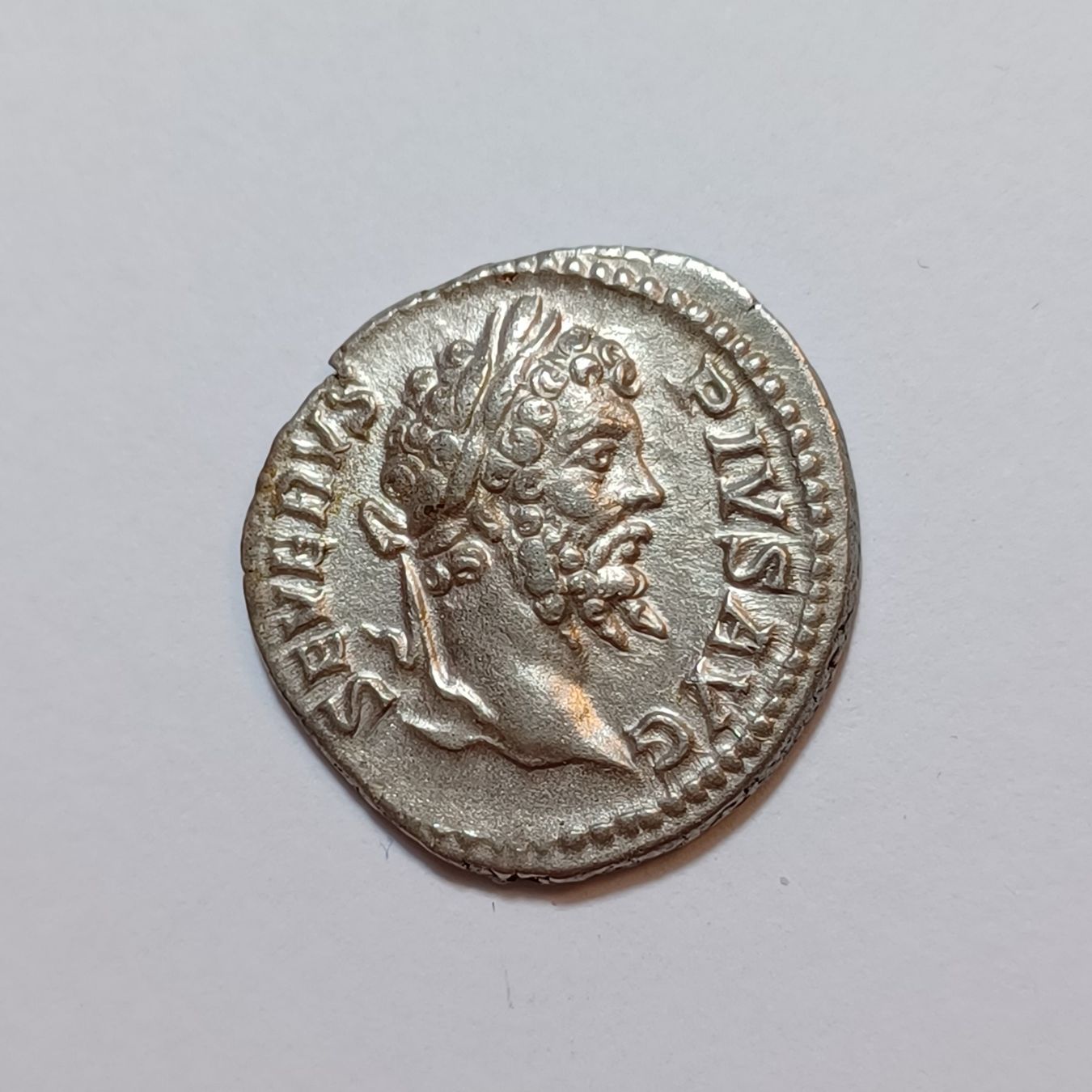 Alle Münzen: Denarius Septimius Severus (193-211) Römisches Reich – Gebraucht aus Pfäffikon ZH von Antike_Muenzen