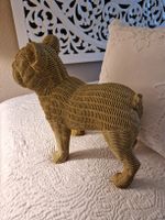 Süsse Französische Bulldogge