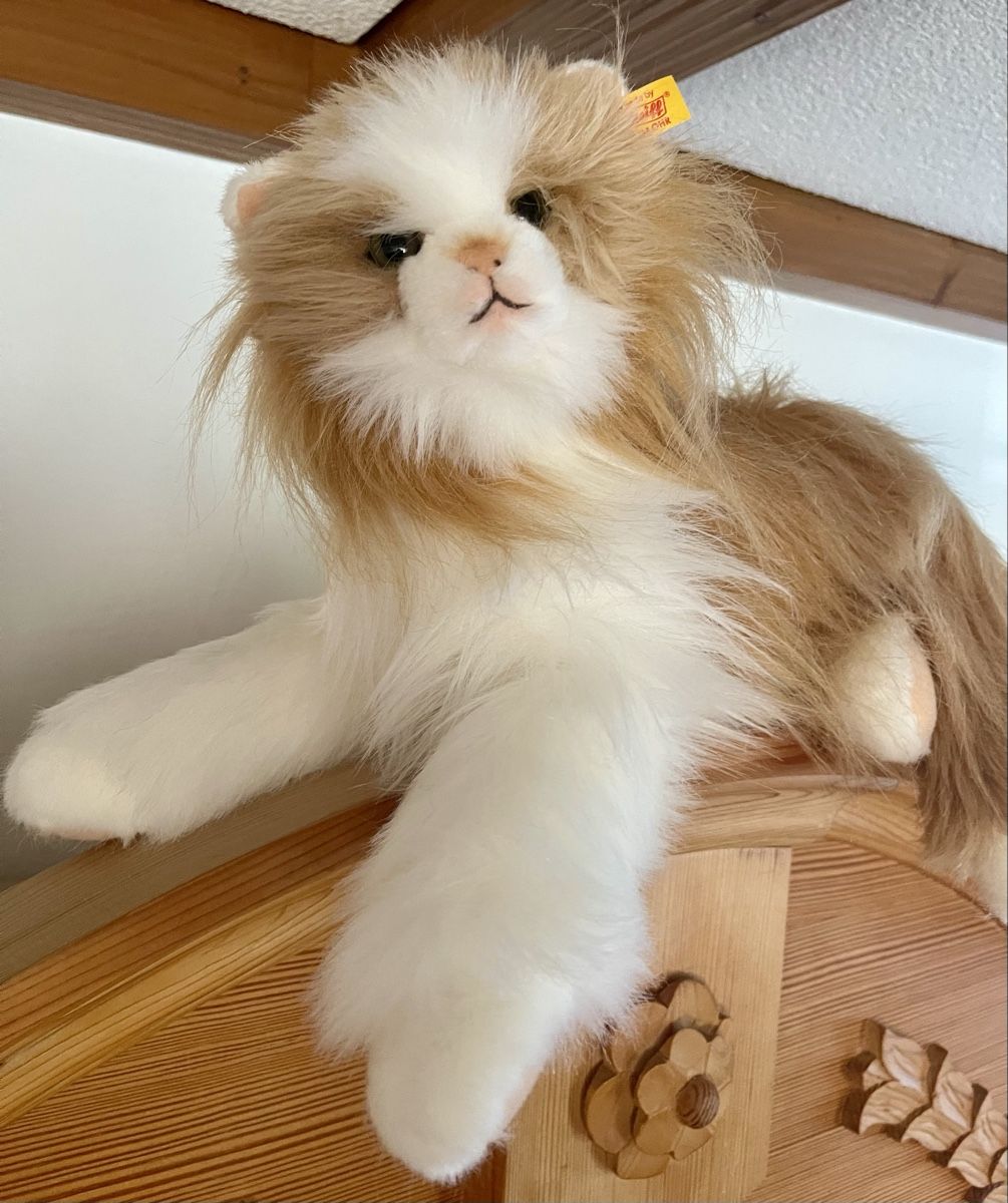 Steiff Giocattoli: Steiff Princess Katze, liegend, hellbraun/weiß – Usato da Meierskappel venduto da suesle 2
