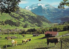 Lenk BO,Wildstrubel BE