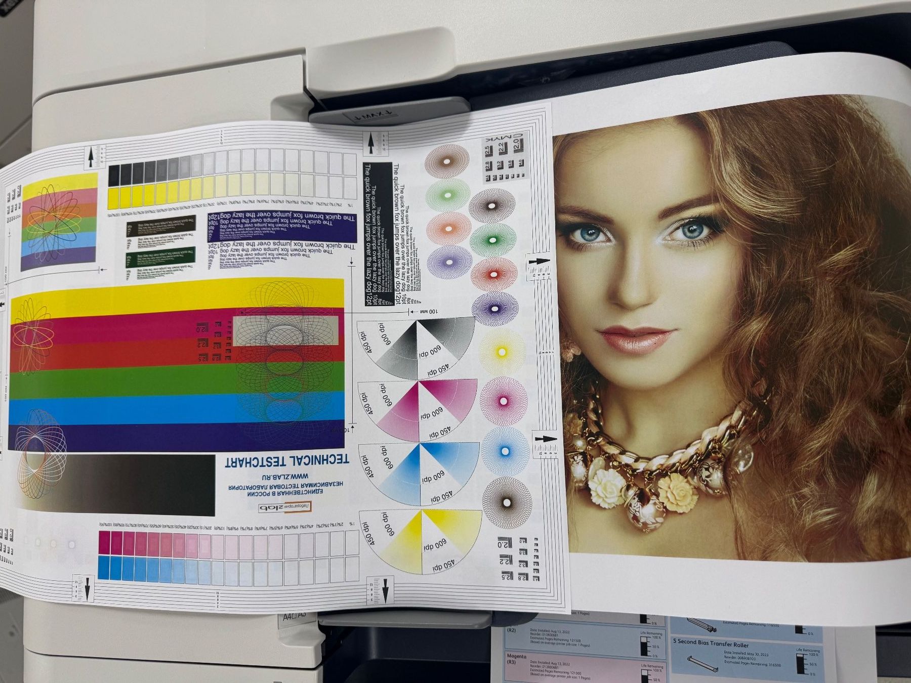 Xerox Stampanti: Xerox Altalink C8130 – Nuovo (secondo la descrizione) da Dottikon venduto da kopexport 4