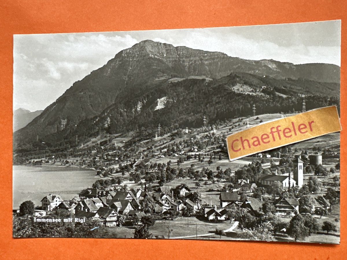 Cartoline postali: Immensee mit Rigi – Usato da Zürich venduto da Chaeffeler