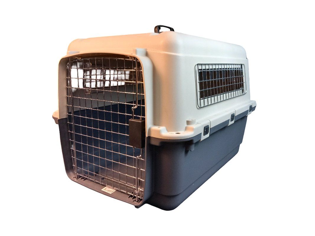 Swisspet Gabbie, trasporto & Sicurezza: SWISSPET Hundetransportbox – Usato da Hünenberg venduto da Restwert_Zug
