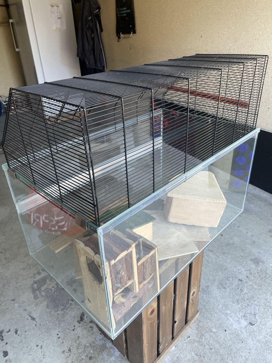 Terrario: Hamsterterarium – Usato da herzogenbuchsee venduto da danny08 1