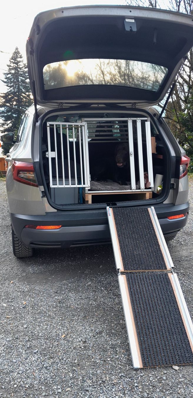 Gabbie, trasporto & Sicurezza: Einsteigerampe für Hunde – Usato da Weggis venduto da Nuptse-01