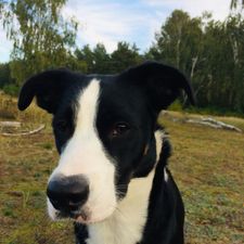 Profile image of tib_z99n