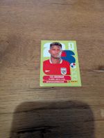 Panini Bild PAN 4