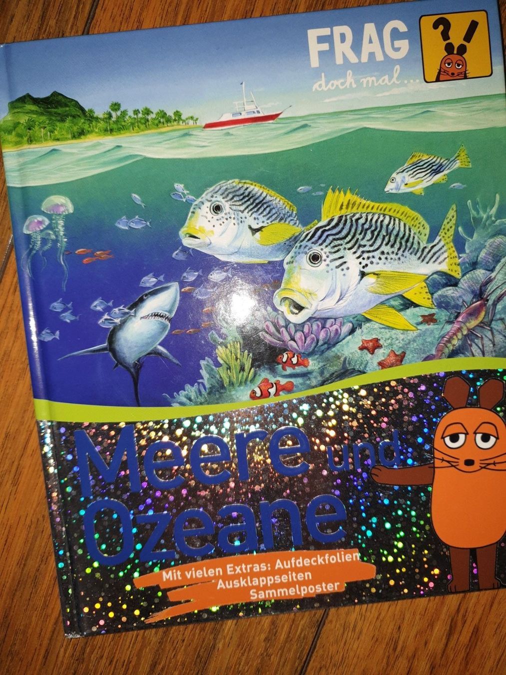 Libri: Frag doch mal ... MEERE UND OZEANE – Usato da Buchrain venduto da Baba-Jaga