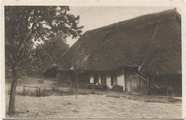 LANDWIRTSCHAFT/STROHDACHHAUS 1920 Aargau