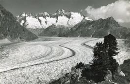 Aletschgletscher  VS  ob Riederalp       um 1960