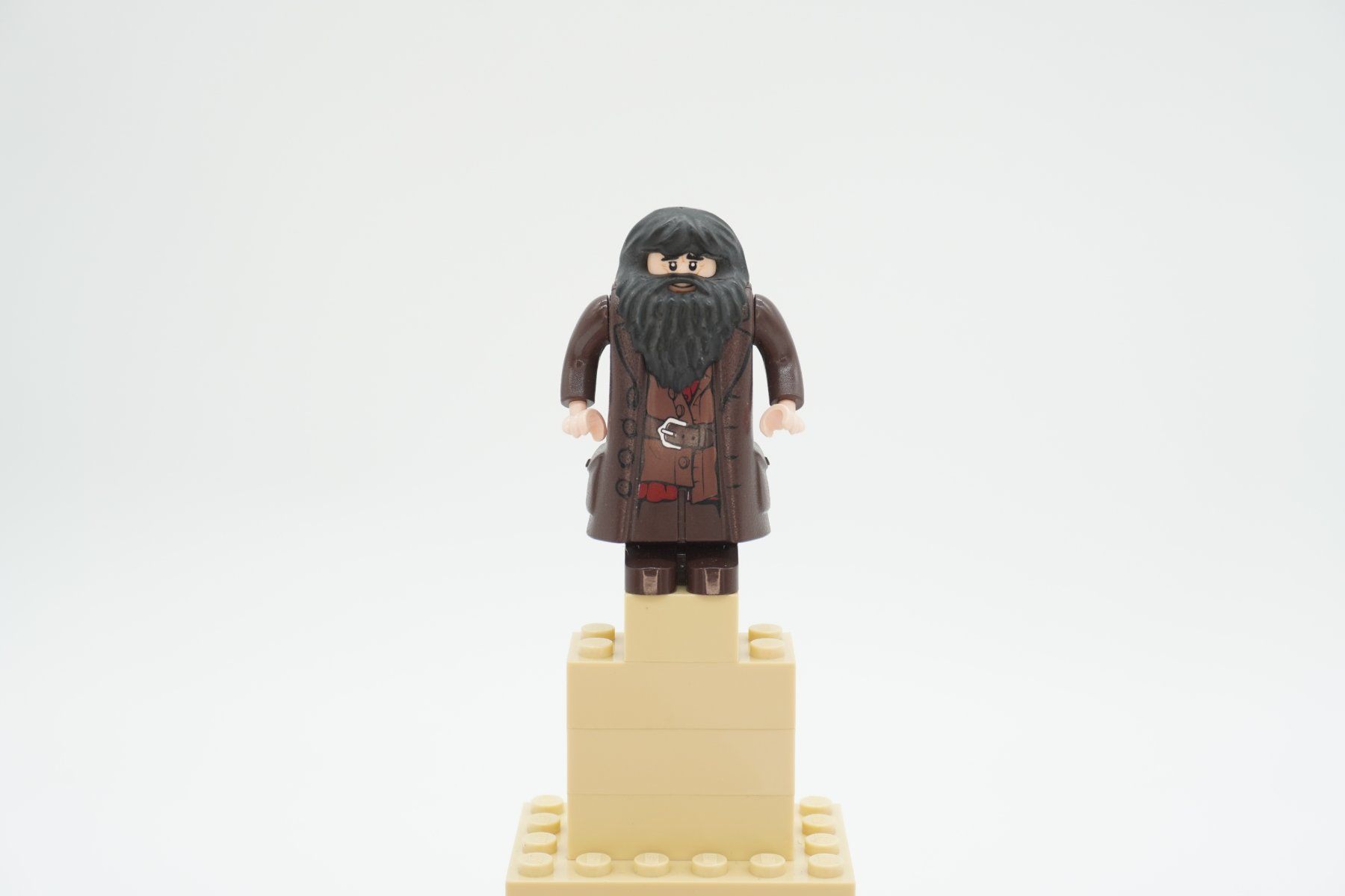 Lego Spielzeuge: Lego Harry Potter Rubeus Hagrid Bundle – Gebraucht aus Zürich von PWGrZ 1