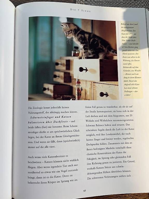 Bücher: Katzen – Neu (gemäss Beschreibung) aus Rehetobel von Saentis111 2