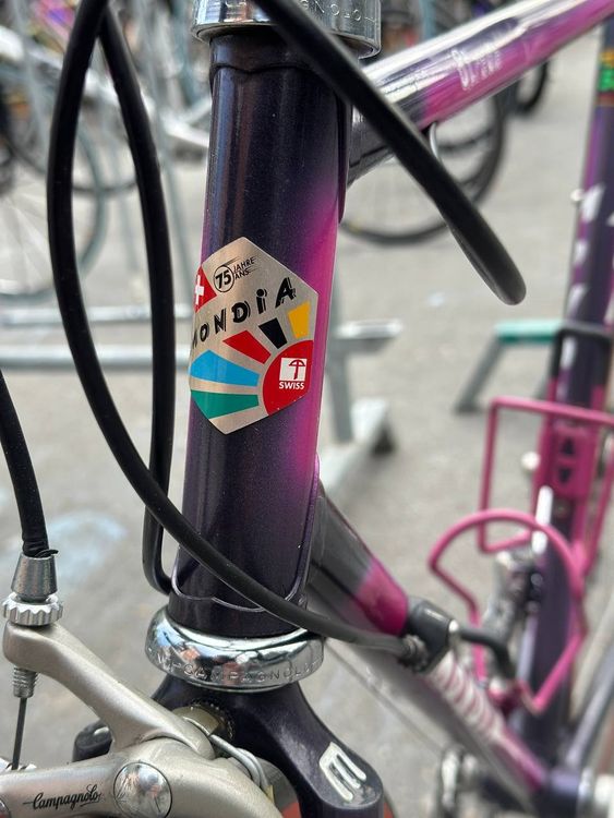 Mondia Biciclette: Mondia Strada Compagnolo Komponenten (Ab Service) – Usato da Wädenswil venduto da HobbyZimmer 7