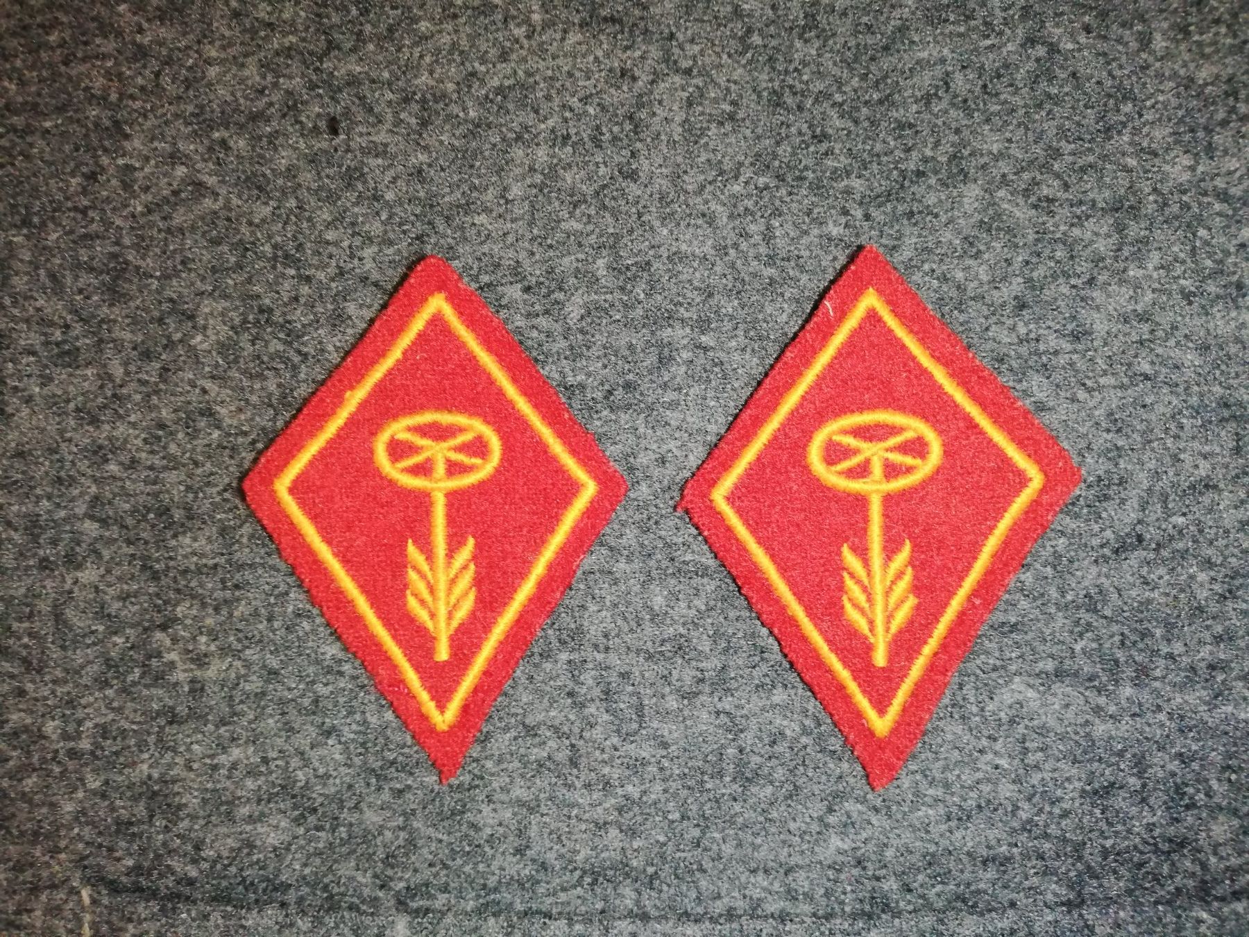 Schweizer Armee Placchette & Badge: Insignes de col Armée Suisse – Usato da Romanel-sur-Lausanne venduto da A559JBB