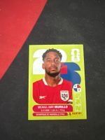 Panini Sticker FIFA WM 2122 Michael Amir Murillo PAN6