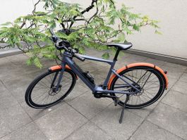 E-Bike 25km/h 2 jährig, 931km, top