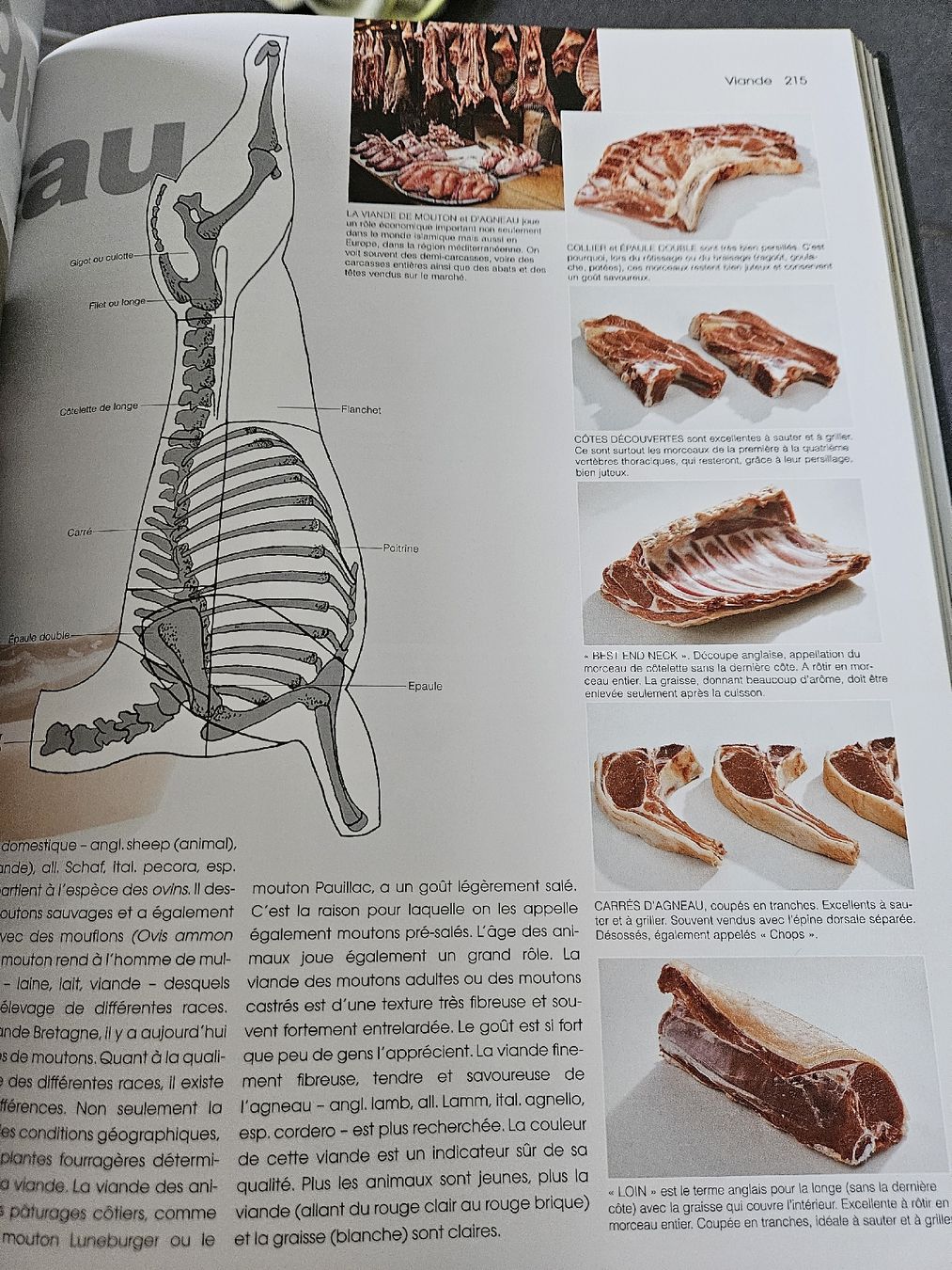 Libri: Teubner Food – Nuovo (secondo la descrizione) da Ipsach venduto da Strahlemann83 1