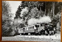 Eurovapor - Dampfzug - SZB - Soleure - Zollikofen - Bern