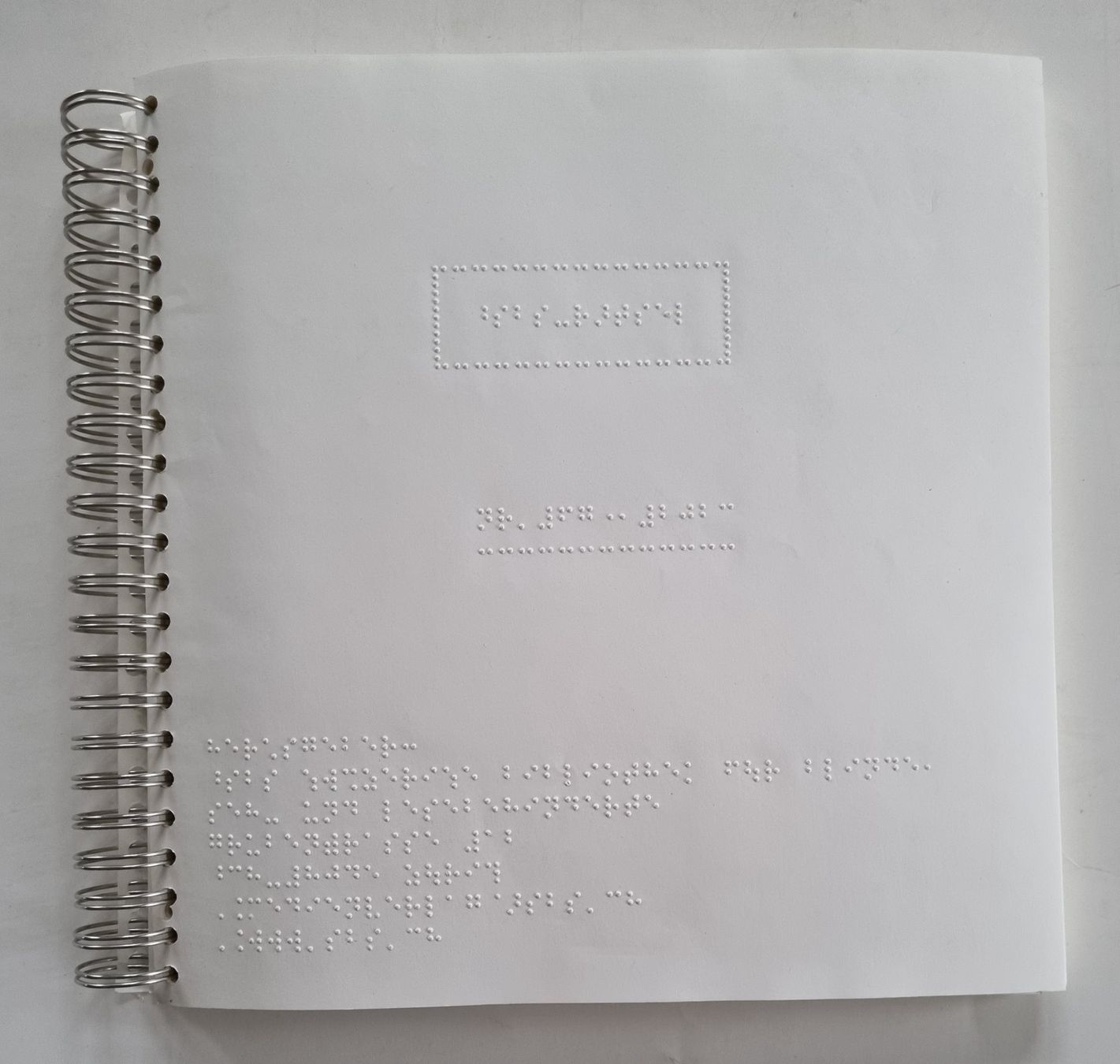 Libri: Brailleschrift-Buch Spiralblock – Usato da Opfikon venduto da Diversamente