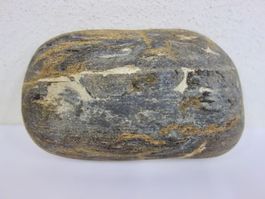 Versteinertes HOLZ Fossil Flussstein OREGON USA