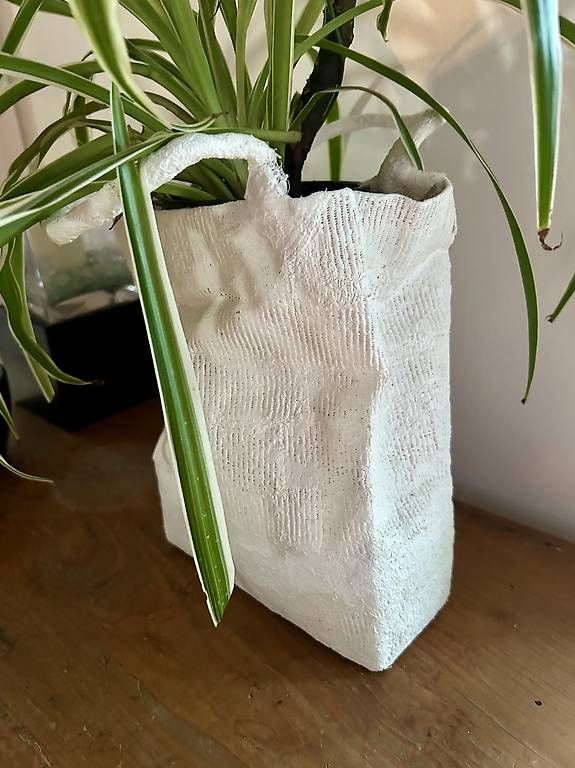 Piante & sementi: Lilie in der Tasche  – Usato da Frauenfeld venduto da Irene.Schuppli 1