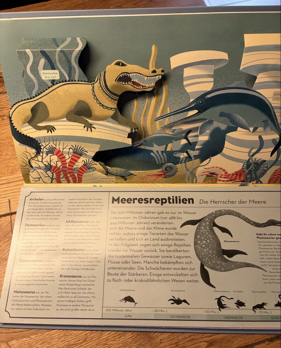 Libri: Kinderbuch über Dinosaurier  – Usato da Wichtrach venduto da angizmo 1