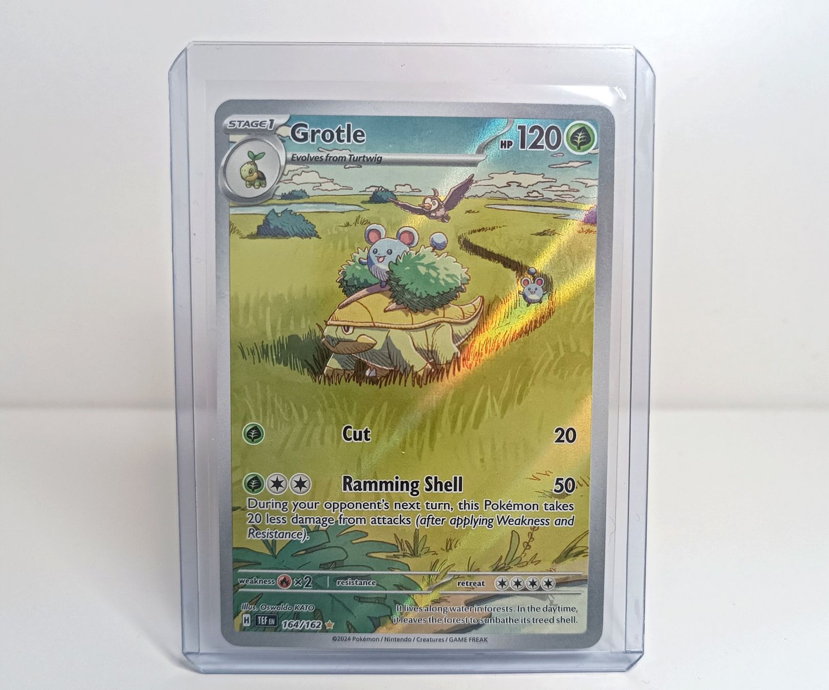 Pokémon Carte collezionabili: Grotle 164/162 Pokemon Temporal Forces TEF EN MINT – Nuovo (secondo la descrizione) da Muraz (Collombey) venduto da Carddealerswis
