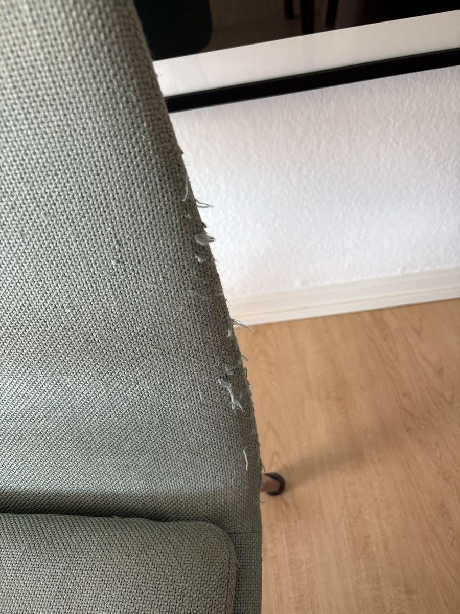 Minotti Sedie: Minotti Esszimmerstühle /Arson 4 Set, Farbe: 21 Celadon – Usato da Zollikon venduto da gse_bg2z 5