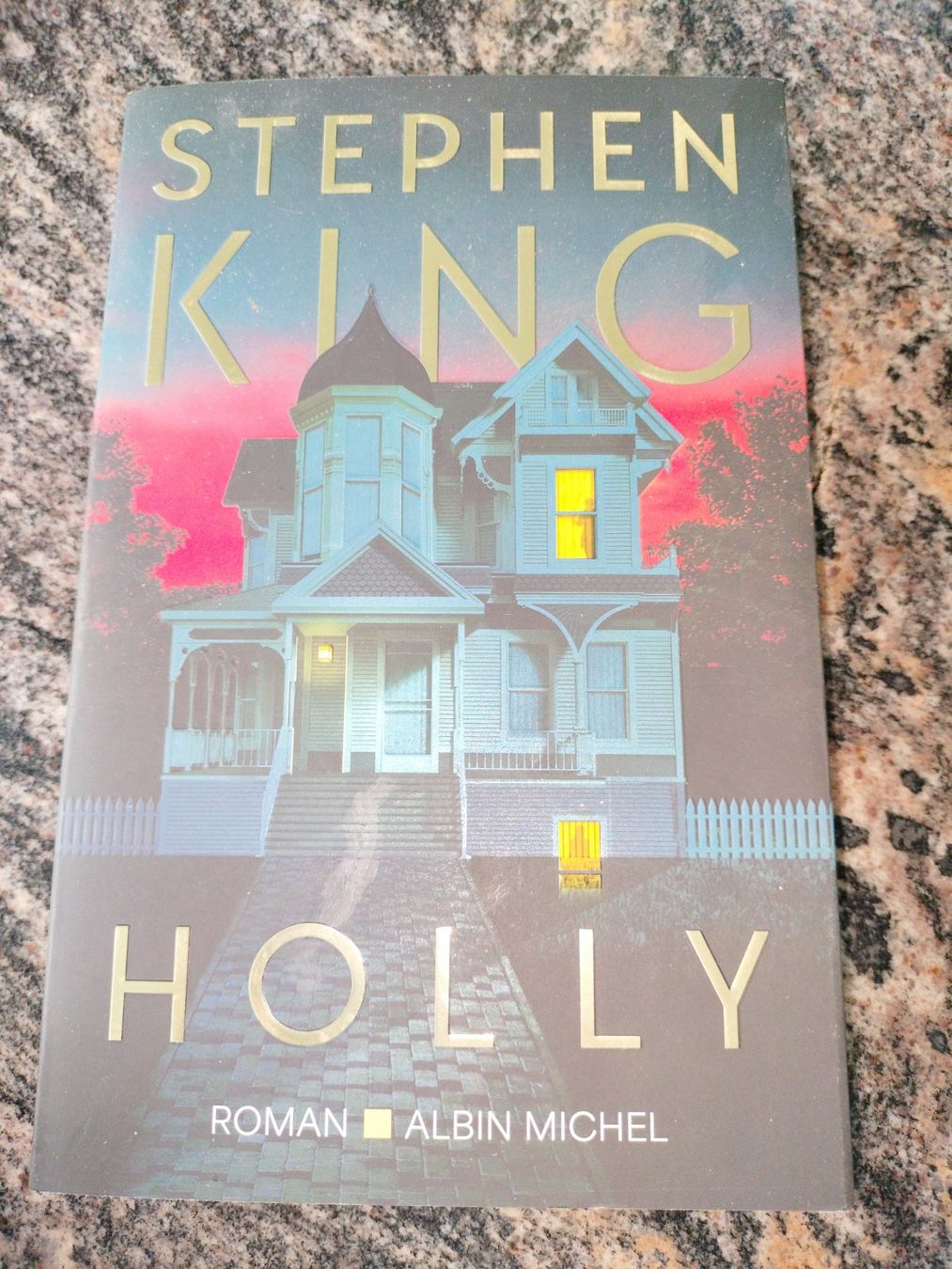 Libri: HOLLY - Roman Stephen King – Usato da Cortaillod venduto da rozinna