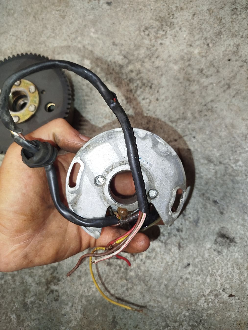 Tomos Motori: Tomos A 35 Original Zündung mit Polrad – Usato da Meierskappel venduto da val_plv5 3