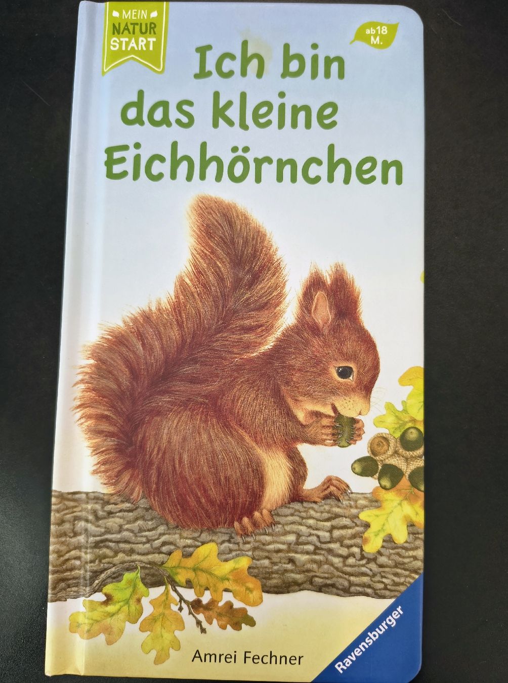 Libri: Kinderbuch - Ich bin das kleine Eichhörnchen – Usato da Faulensee venduto da bb_13