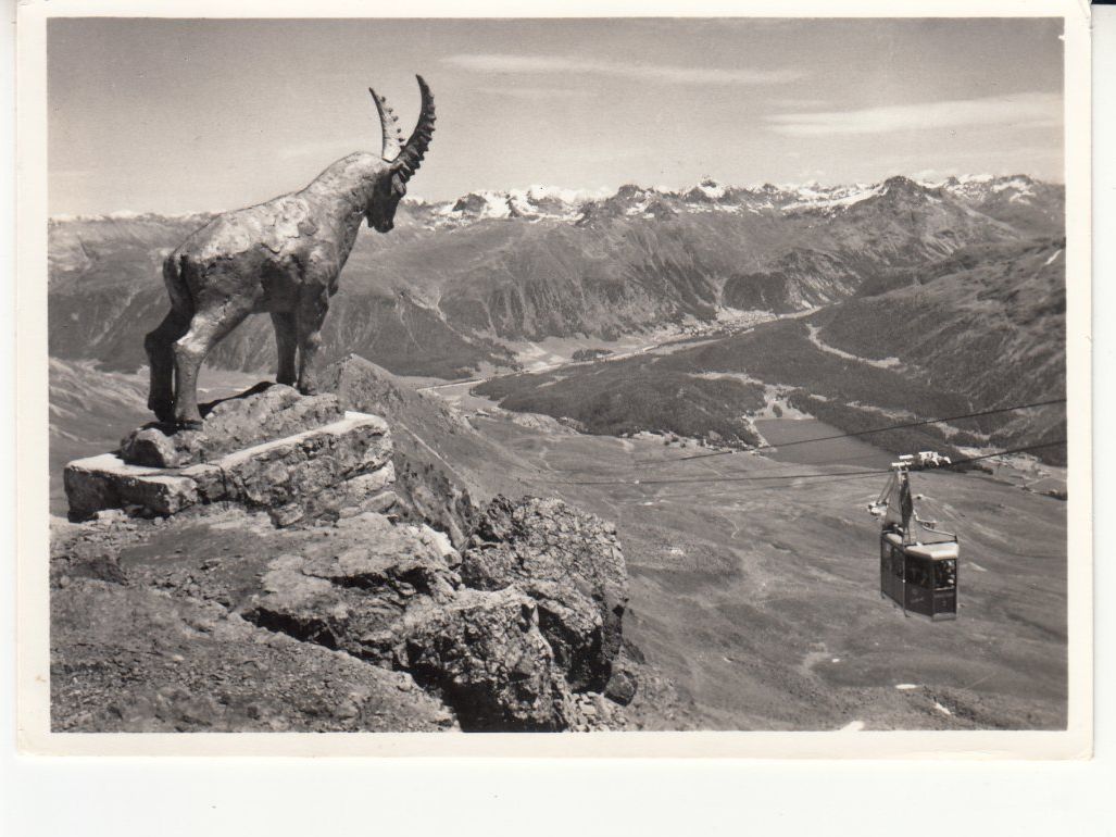 Ansichtskarten: St. Moritz Piz Nair 1962 – Gebraucht aus Bürglen TG von StampGraf