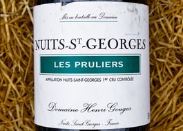 NUITS-SAINT-GEORGES - 2008 "Les Pruliers 1er Cru" H. Gouges