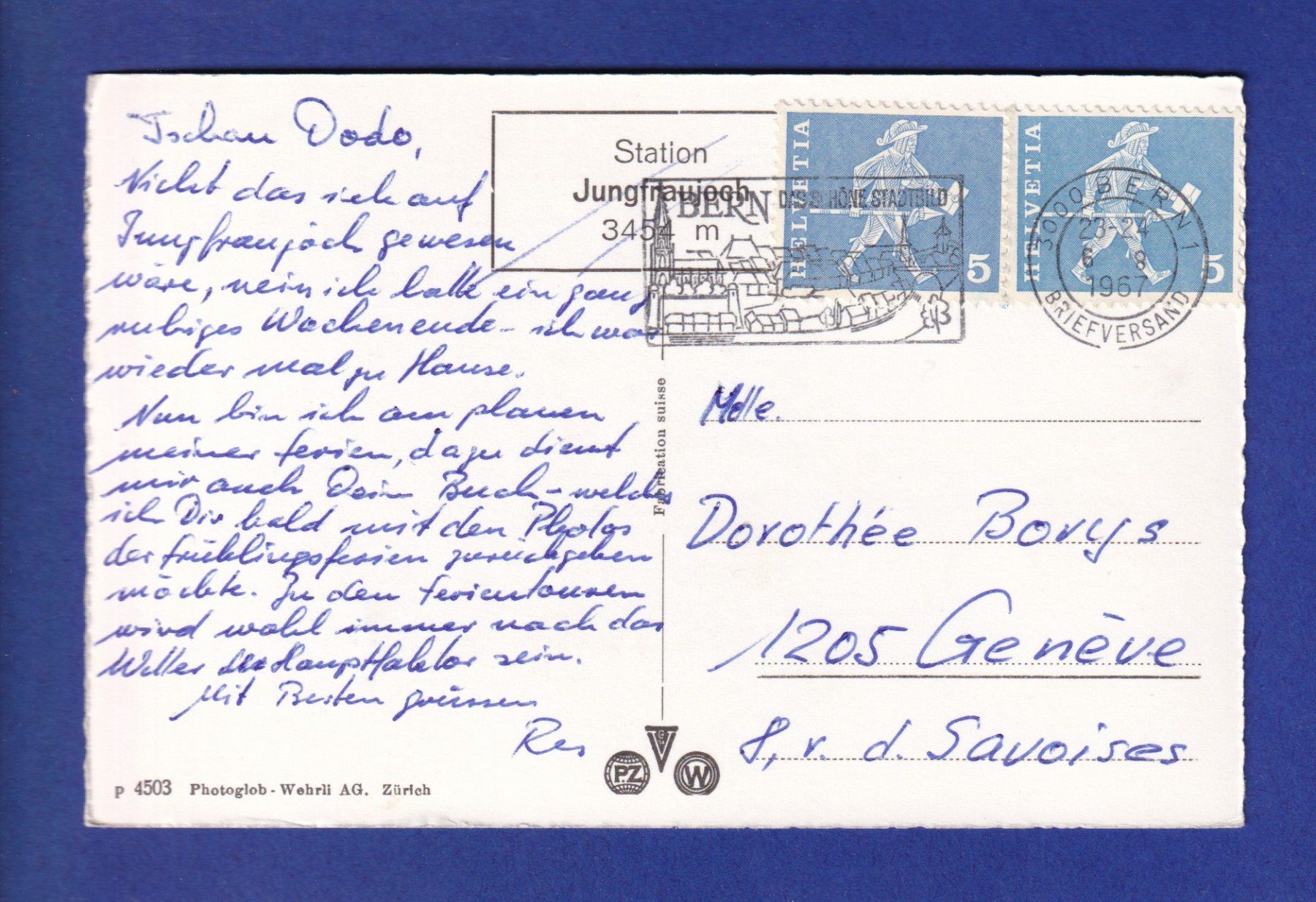 Cartes postales: MARMOTE / MURMELTIERE – D'occasion à Pully par nicecards-shop 1