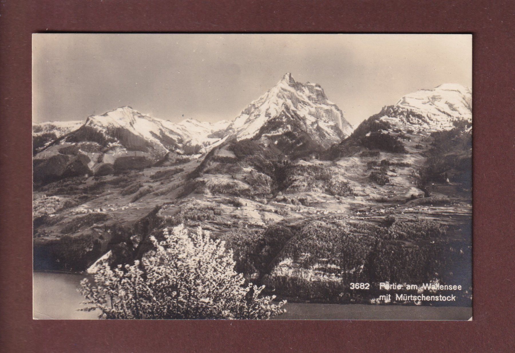 Cartoline postali: Partie am WALENSEE - Mürtschenstock – Usato da Pully venduto da nicecards