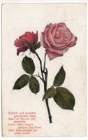 FREUNDSCHAFT ROSEN gel. 1930 v. Peiden Graubünden