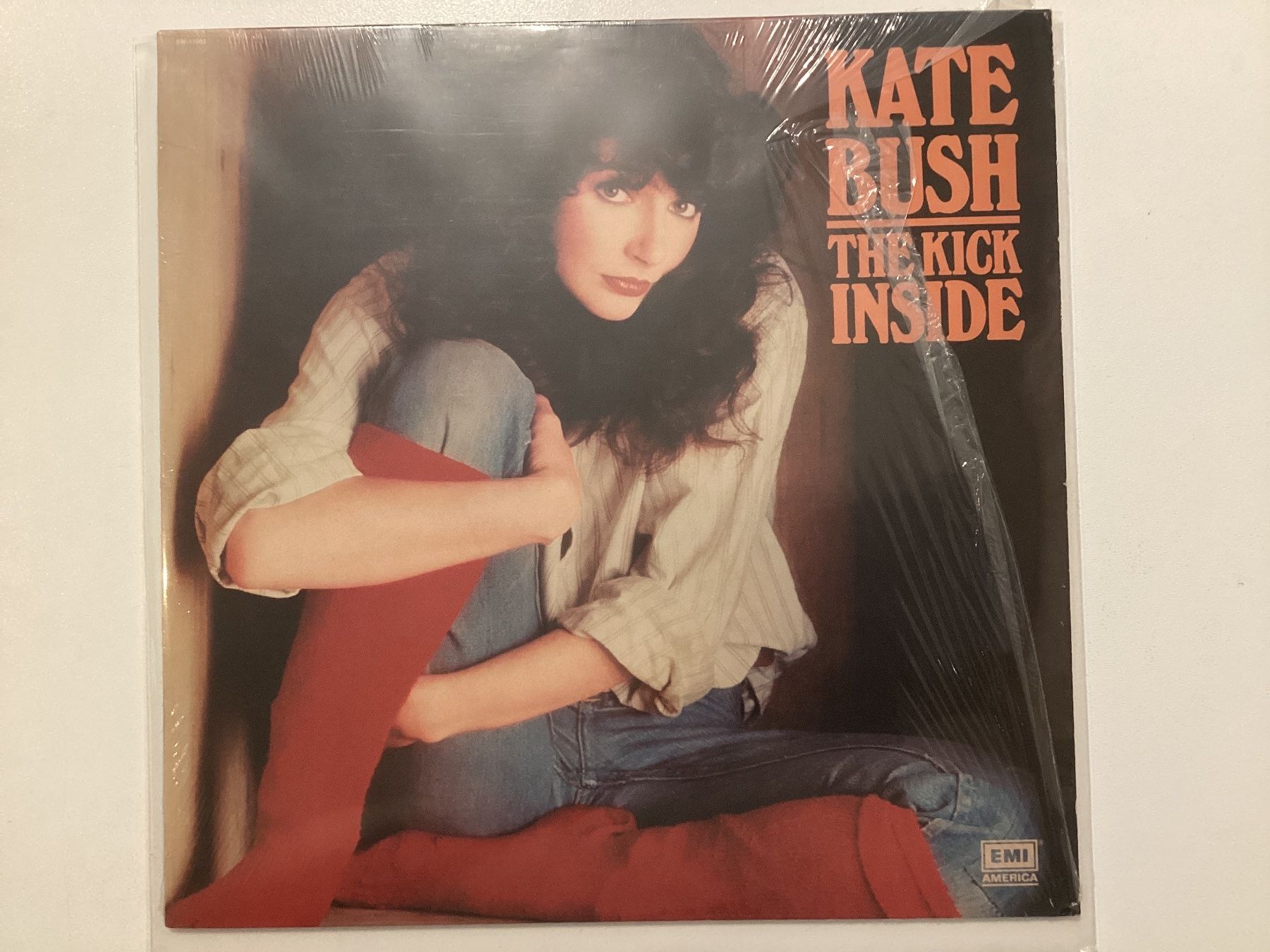 Dischi in vinile: Kate Bush LP - Kick Inside – Usato da Gutenswil venduto da Hamzian